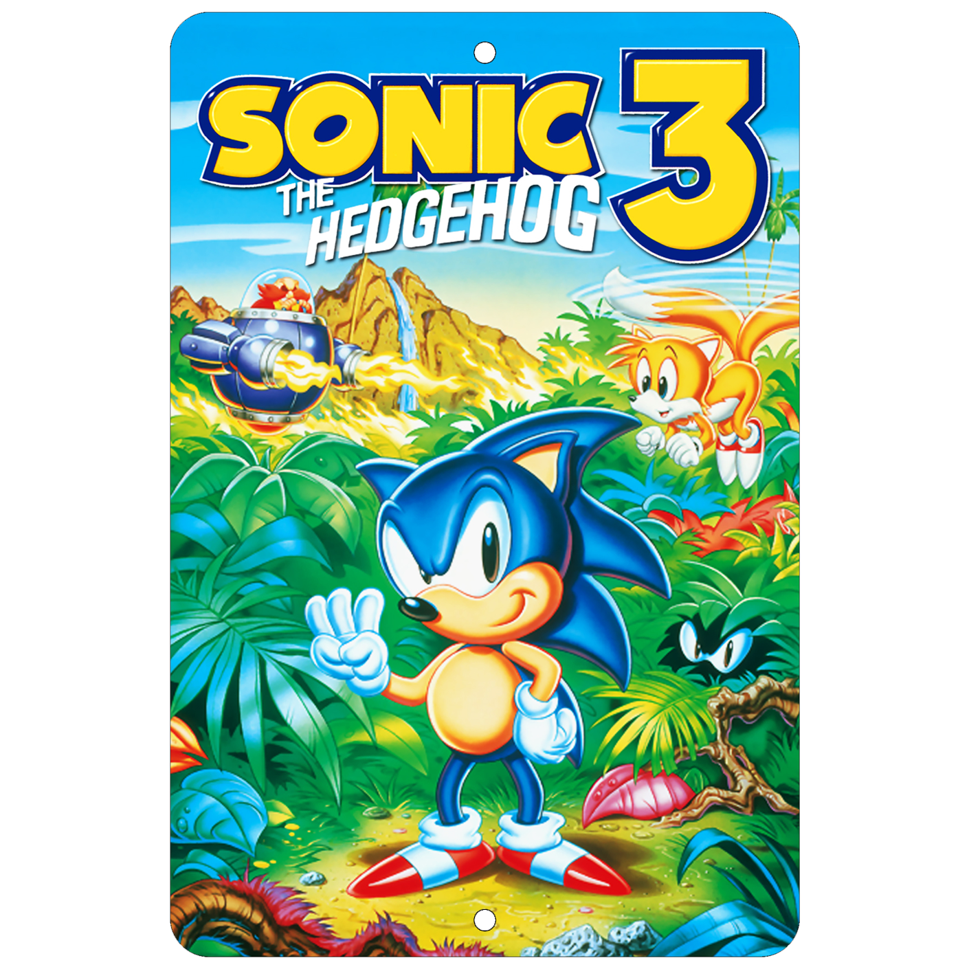 Sonic the Hedgehog 3 Genesis Aluminum Sign